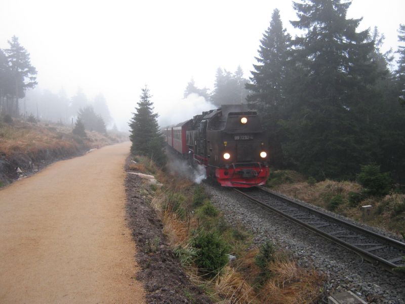 2009-10-29 Brocken (04) ...is coming down.